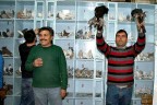 Binlerce liraya güvercin satıyorlar