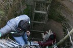 Kuyuya düşen köpek kurtarıldı