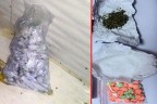Zehir tacirlerine suç üstü