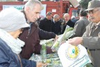5 bin çam fidanı dağıtıldı