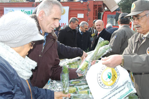 5 bin çam fidanı dağıtıldı