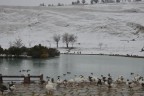 PAMUKKALE KARDA KAYBOLDU