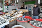 Balık fiyatları tavan yaptı