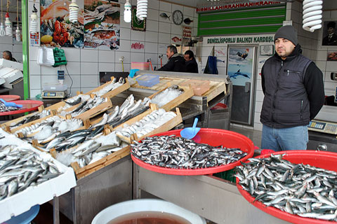 Balık fiyatları tavan yaptı