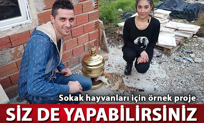 Sokak Hayvanlari Su Ve Mama Kabi Tekli En Hizli Kargo Kapida Odeme Ile Kedi Kopek Malzemeleri Cesitleri Ile Modernciftlik Com