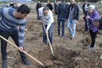 Tavas’ta hedef kişi başına 1 ağaç