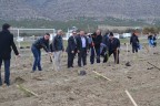 Çardak’ta herkesin dikili bir ağacı olacak