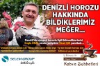Denizli horozu daha uzun ötsün diye melezleştirildi mi?