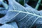 Meteoroloji’den don uyarısı geldi