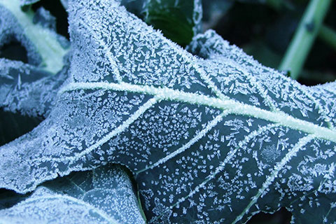 Meteoroloji’den don uyarısı geldi