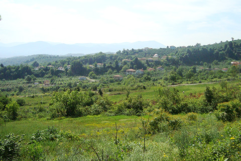 Denizli’de 2/B kapsamında 4.045 arazi var, 3.993’ü satışa hazır