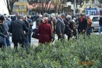 Yırca’nın zeytinleri Buldan’da yeşerecek