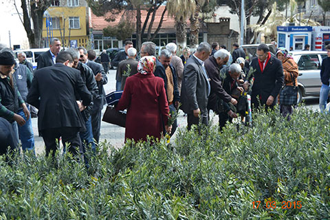 Yırca’nın zeytinleri Buldan’da yeşerecek