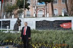 Soma’da kesilen zeytinler Buldan’da yeşerecek