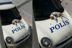 Polis otosu üzerinde güneşlendi