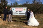 Yuvalar kuruldukça orman büyüyecek