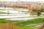50 bin dekarı su bastı