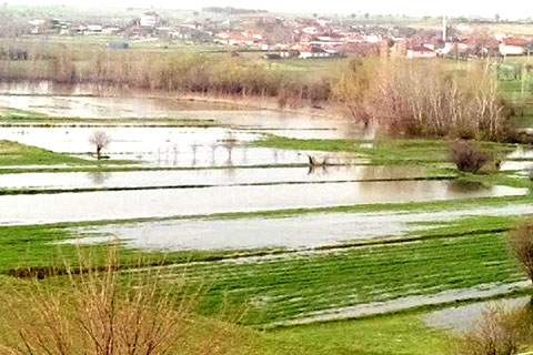 50 bin dekarı su bastı