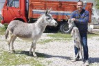 Hasta annesi için eşek sütü bulamayınca çiftlik kurdu