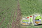 MUCİZE ÜRÜNLER TARIM SEKTÖRÜNÜN YÜZÜNÜ GÜLDÜRÜYOR
