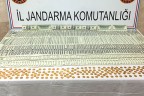 Jandarmadan sahte dolar ve fes altın operasyonu
