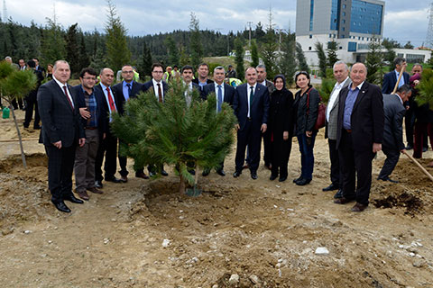 PAMUKKALE BELEDİYESİ HATIRA ORMANI OLUŞTURULDU