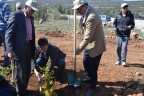Tavas’ta fidan dikim günleri