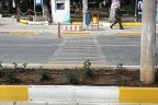 Refüjde biten yaya geçidi