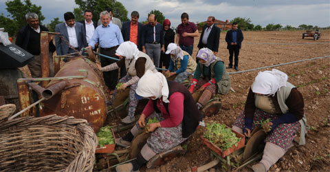 denizli-ak-parti-mehmet-yuksel-ic