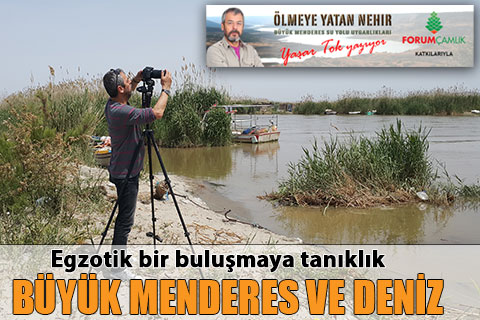 denizli-yasar-tok-yazi-dizisi-ölmeye-yatan-nehir-menderes-buyuk-menderes-deniz-h