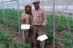 Yayla Seracılığı gelişiyor