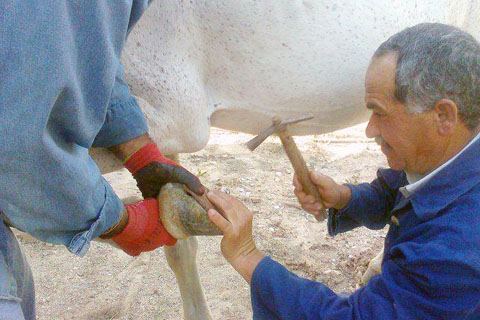 Mesleğinin tek temsilcisi