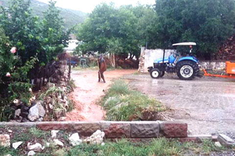 Acıpayam’da yağış sonrası su baskınları