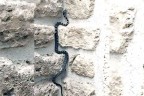 Zehirli Anadolu engereği böyle fotoğraflandı