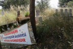 Bekilli Mezarlığı’nı otlar kapladı