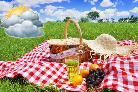 Pazar günü piknik havası var
