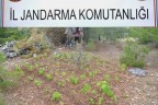 6 operasyon 9 gözaltı