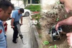 İtfaiyeden yavru kedi operasyonu