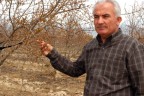 Gemici: Yeterli değil ama…
