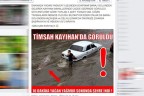 TİMSAH BU KEZ ŞEHRİN ORTASINDA