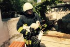 Yuvasına itfaiyeciler kavuşturdu