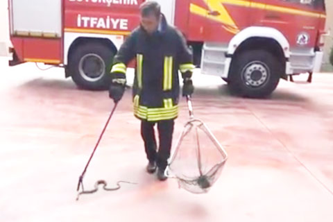Sağlık ocağında kanaryaları yuttu kafeste mahsur kaldı