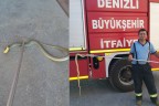 Fabrika yemekhanesinde yılan operasyonu