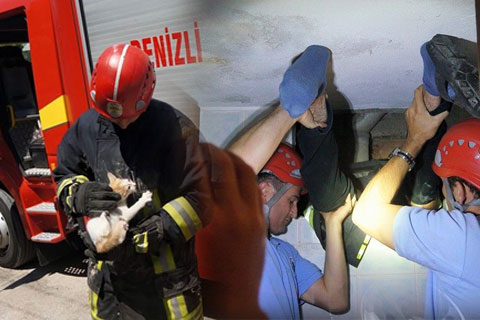 Mahsur kediyi aşağı sarkıtılan itfaiye eri kurtardı