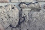 Tarihi kilisenin kara yılanı