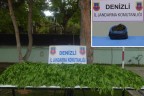 Jandarmadan uyuşturucu operasyonu