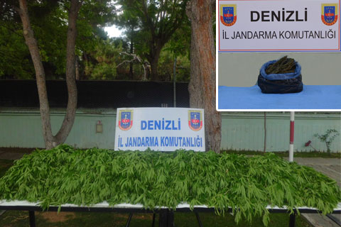 Jandarmadan uyuşturucu operasyonu