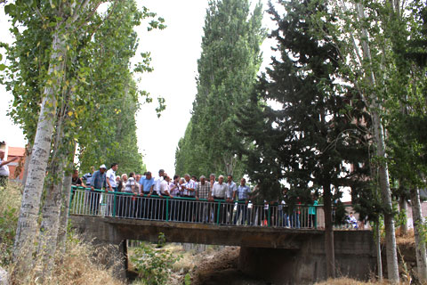 Yeşilyuva’da ağaçlar kesilmeyecek