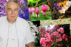 Dikkat! Süs bitkisi deyip geçmeyin…