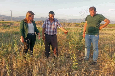 5 ilçe tarla farelerinin istilasına uğradı